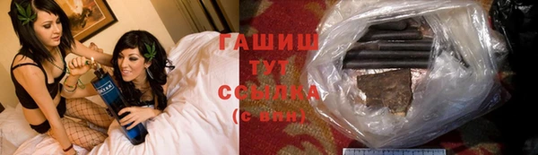 стаф Арсеньев