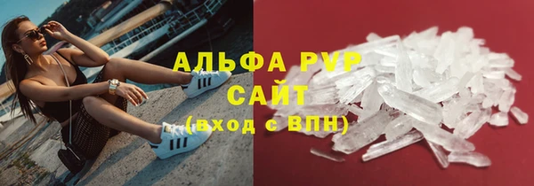 PSILOCYBIN Аркадак