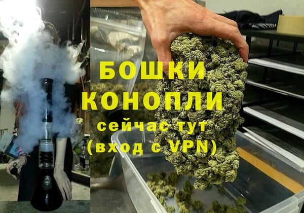 PSILOCYBIN Аркадак