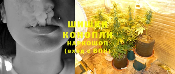 PSILOCYBIN Аркадак