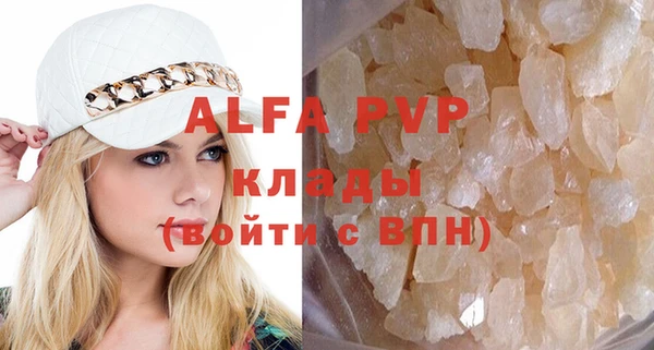 стаф Арсеньев