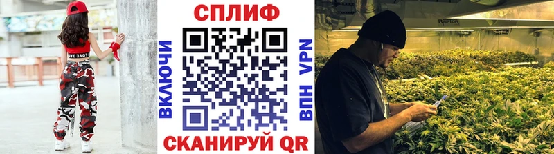 Конопля индика  Сосновка 